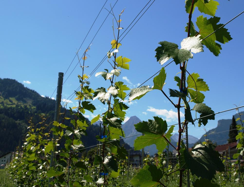 Gielerhof Daire Zell am Ziller Dış mekan fotoğraf