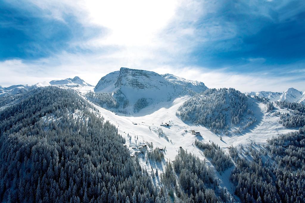 Gielerhof Daire Zell am Ziller Dış mekan fotoğraf
